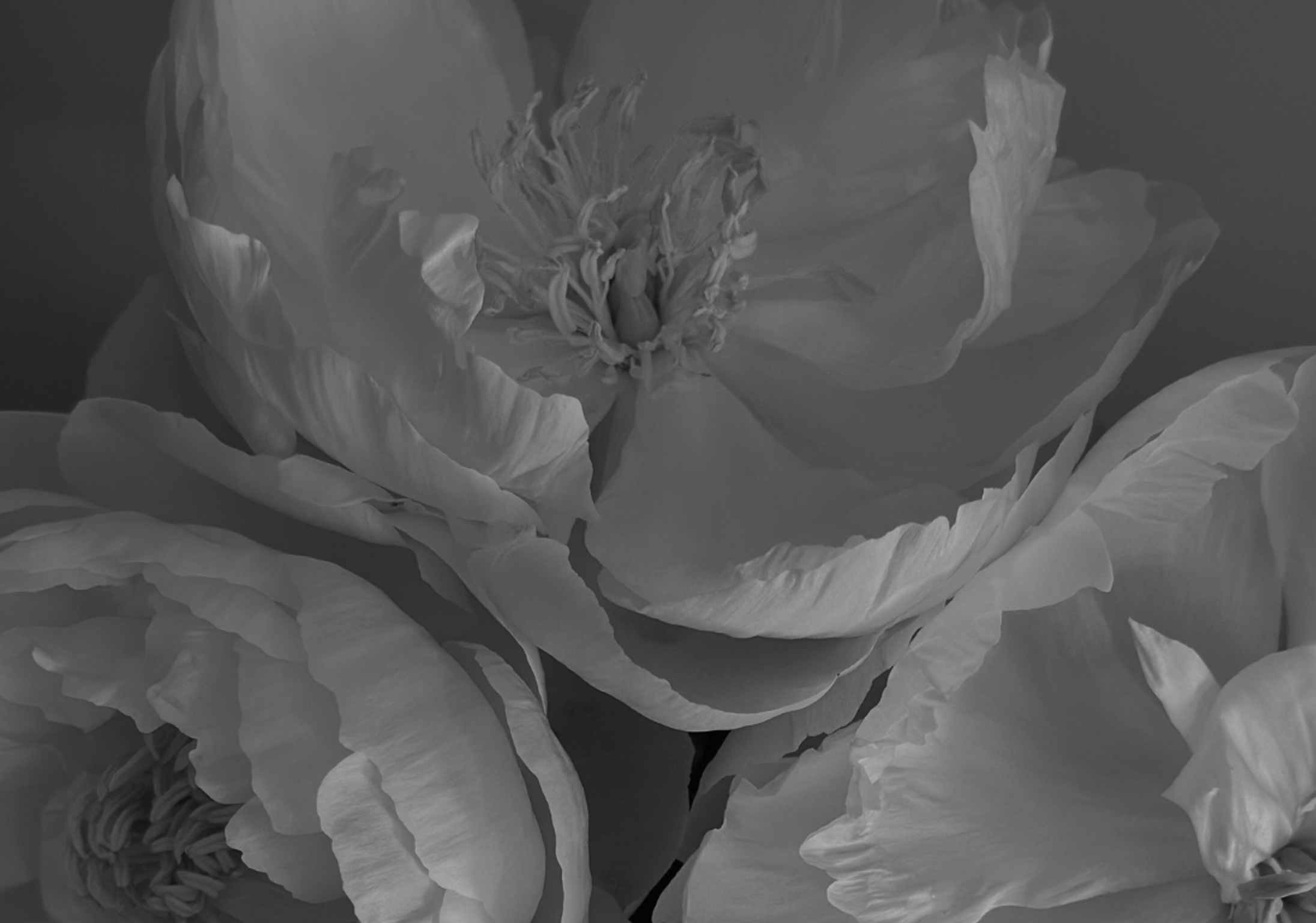 phpK0RZuG-6628f1c3ca5bd